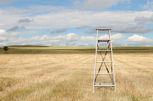 深情动人的浪漫情句 最浪漫古风表白句子(62句)