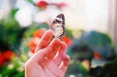 ​爱情经典的优美句子