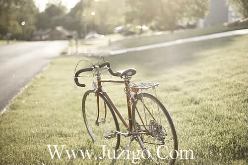 撩妹情话招数撩妹情话(精选95句)