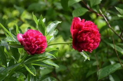 ​爱情的句子唯美短句文艺好听的（精选95句）