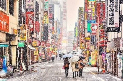 ​有关于名人的爱情语录(精选77句)