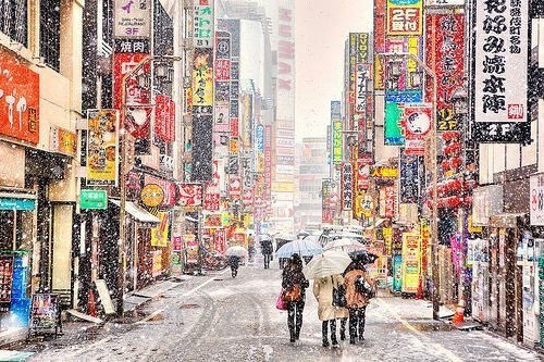 有关于名人的爱情语录(精选77句)