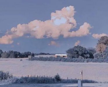 ​爱情伤感经典句子选录