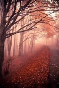 ​古风唯美句子爱情 ～～～哪一句触动了你们的心？