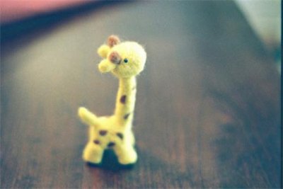 ​关于不相信爱情的句子