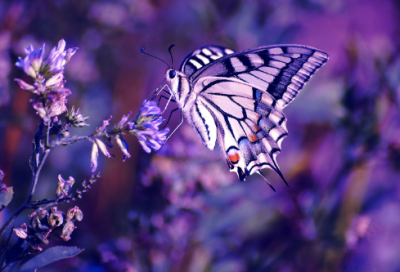 ​特性小幸福的情侣QQ网名(120个)