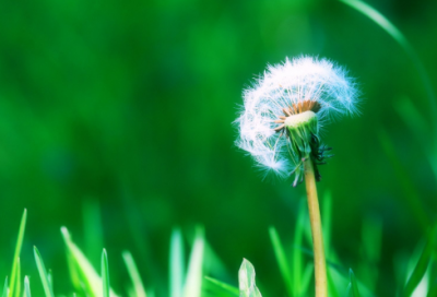 ​拽拽的qq女生网名(126个)