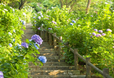 ​萌萌哒带符号的闺蜜网名(共84个)