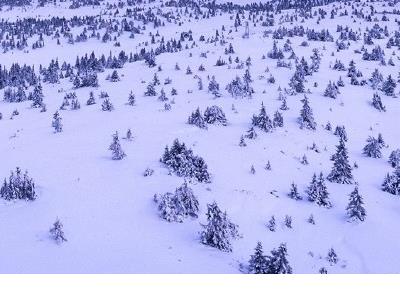 情话大全浪漫情话