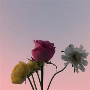 ​女生对男生深情告白的话 男生对女生表白的套路