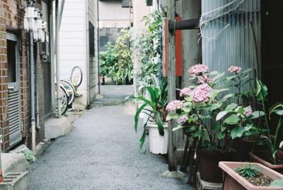 ​彻底 挽回爱情最感人的话