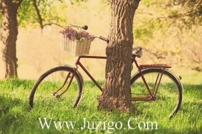 ​乡村爱情经典搞笑台词对白(乡村爱情里的口头禅)