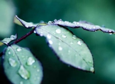 ​含有静字的网名高雅版