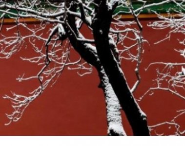 ​几米经典爱情语录