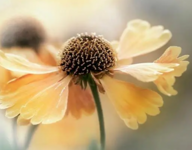 ​形容感情距离越来越远的句子(33句)