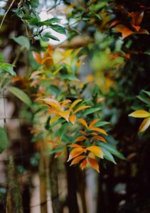 ​一句话美好爱情语录 一句话爱情经典语录