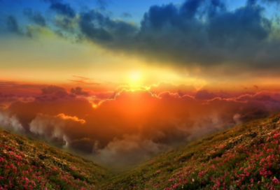 ​带春有关的网名大全