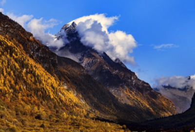 ​大气的网名女生优雅的(143个)