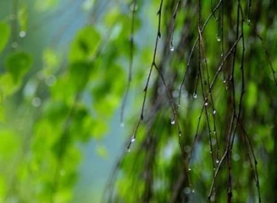 ​古风诗意高冷的四字网名