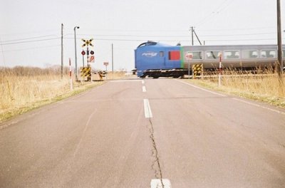 ​简单唯美的爱情句子87句