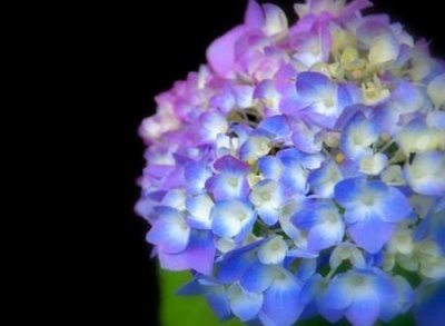 ​好听的微信备注名称，给喜欢的人起个特别的网名