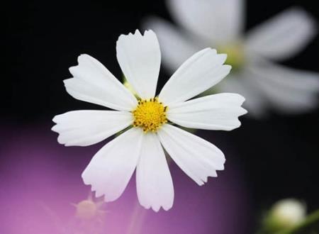 好听优雅的四字微信昵称