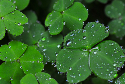 ​容易上热门的文案 一句话让人关注你！