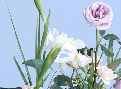 适合妈妈的qq网名