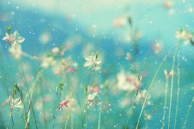 ​关于爱情的句子英文