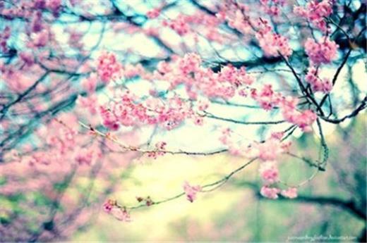 非主流qq爱情个性签名