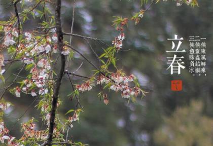 微信上暖心的爱情句子