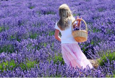 微信上暖心的爱情句子