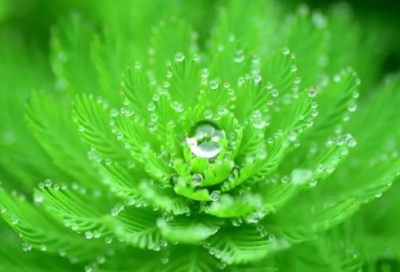 ​听起来很吓人的名字(精选104个)