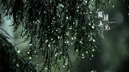 爱情物语录15字