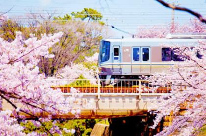 爱情物语录15字