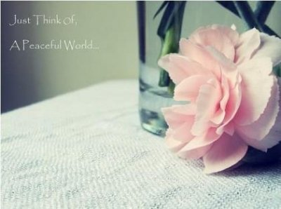 ​好词好句好段摘抄爱情