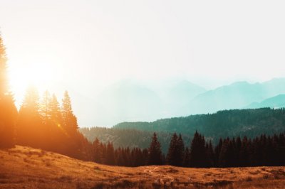 ​向女生表白语句 向女生深情表白的句子