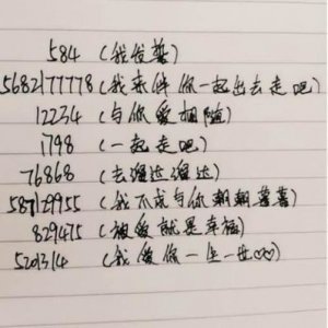 ​告白经典长句 最浪漫最感人的告白情话~