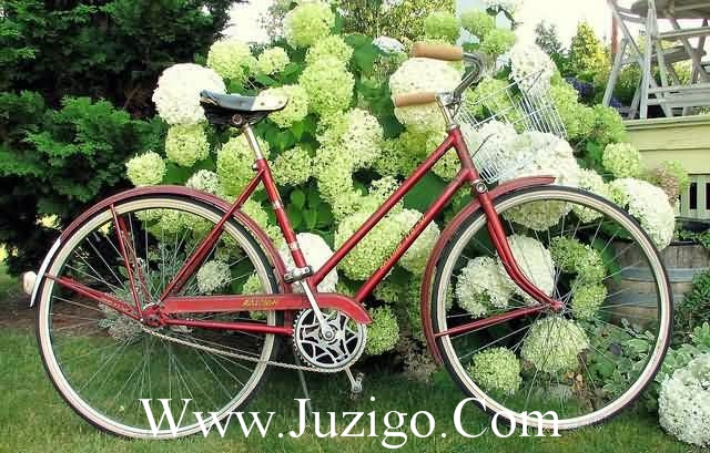 幸福快乐的情侣个性签名一左一右(精选75句)