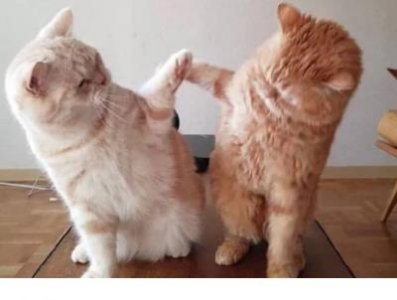 ​想好好珍惜爱情的句子