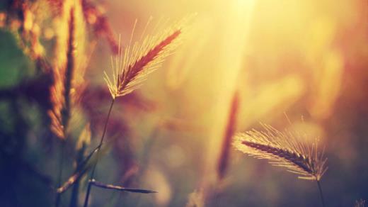 想好好珍惜爱情的句子