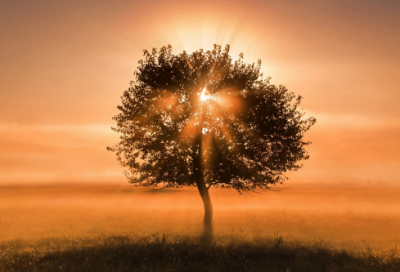 ​光荣使命角色名字三个字