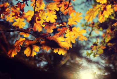 ​男生霸气的游戏名字三个字_幽霸天