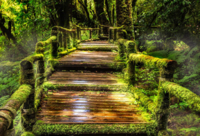 ​乱世王者三个字游戏名字