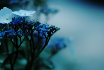 ​6字古风诗意男生游戏名