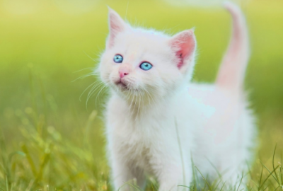 ​2025年跨年暖心句子表白 一大段暖心表白的话