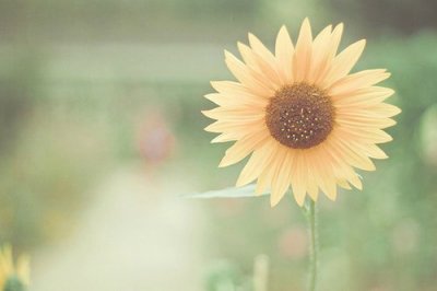 ​发给男朋友的暖心话很甜的情话小短句(39句)