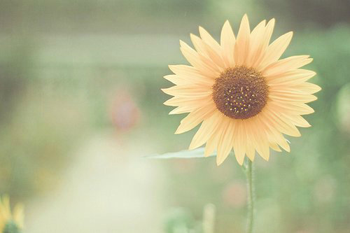 发给男朋友的暖心话 很甜的情话小短句(39句)