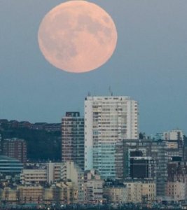 ​爱情的短句子精致（好听的表白句子唯美短句）