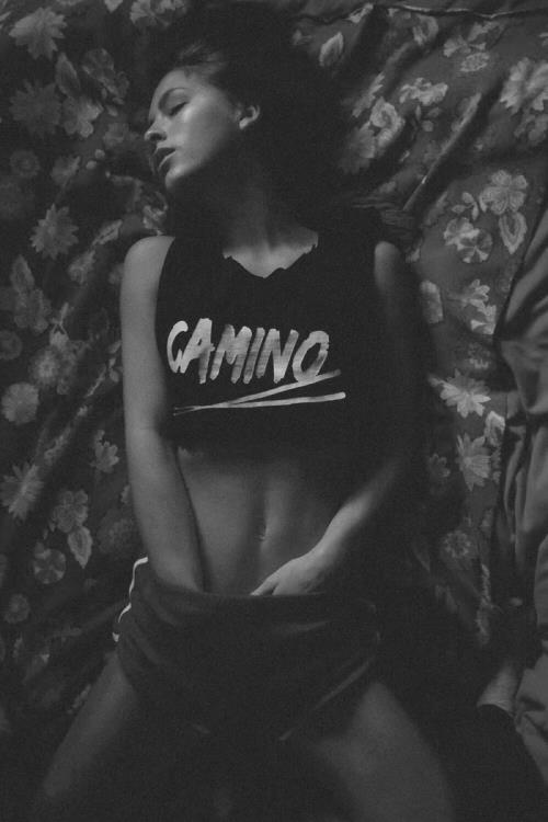 摘抄大全关于爱情的格言